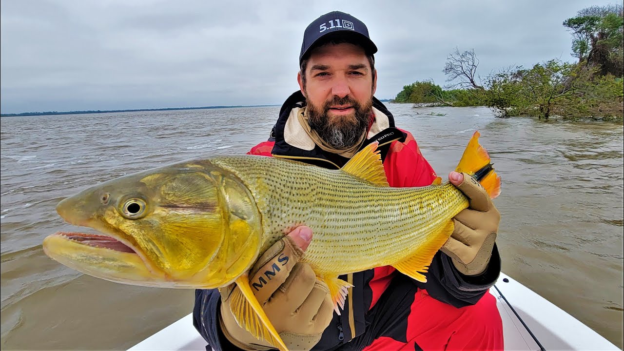 Formato de Competencias